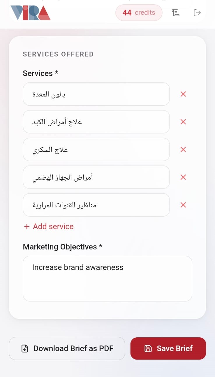 Business Brief - Services